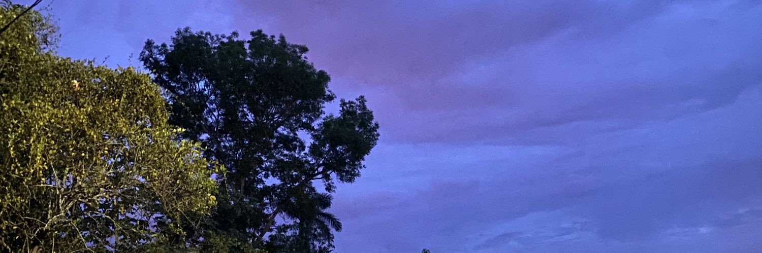 fndleon's profile banner image