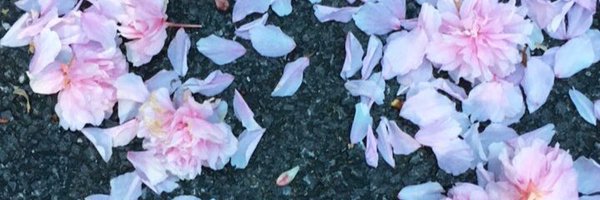 abibrewerr Profile Banner