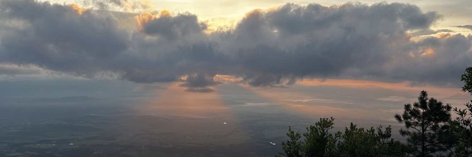 elissapazz's profile banner image
