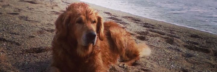 KevinUndok's profile banner image