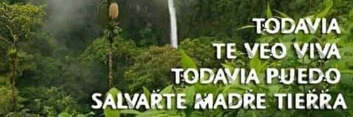mafafaJP's profile banner image