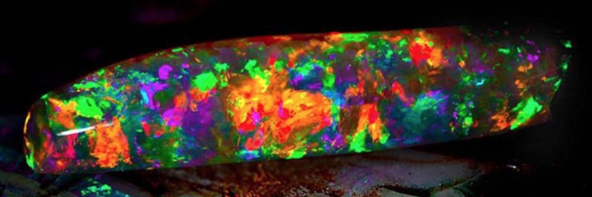 MichaelParak's profile banner image
