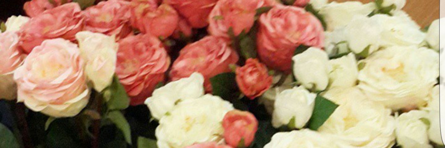 Britnizer's profile banner image