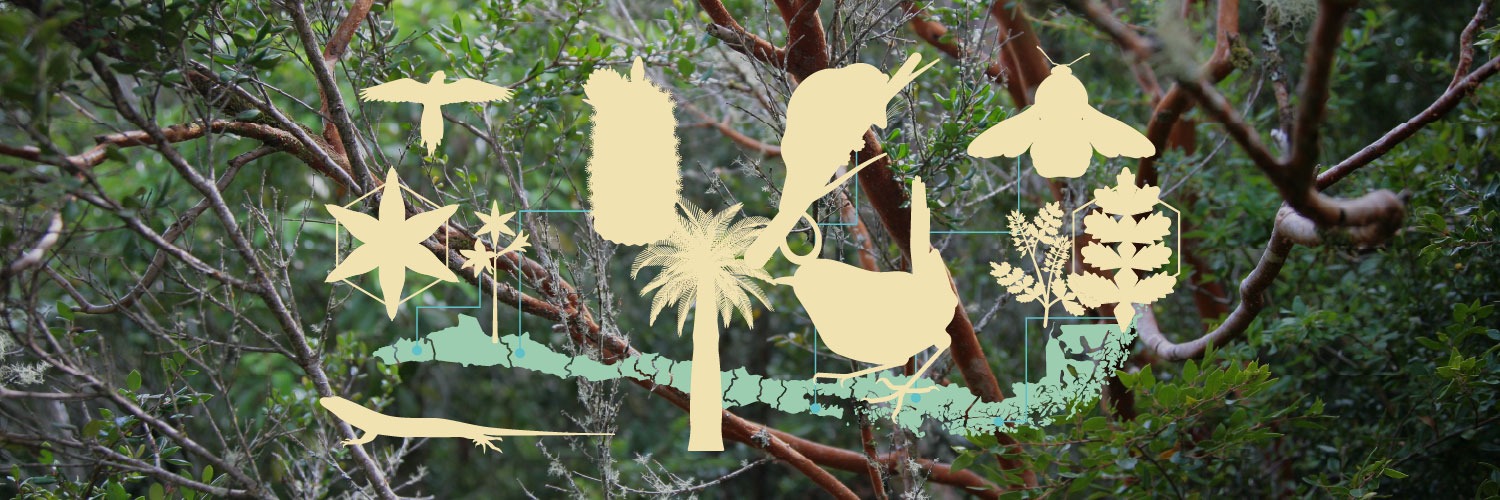 IEBChile's profile banner image