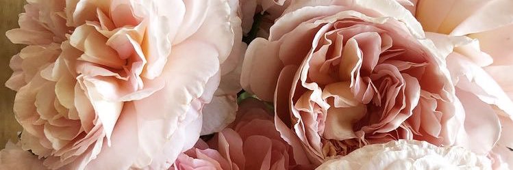 srh_dyn's profile banner image