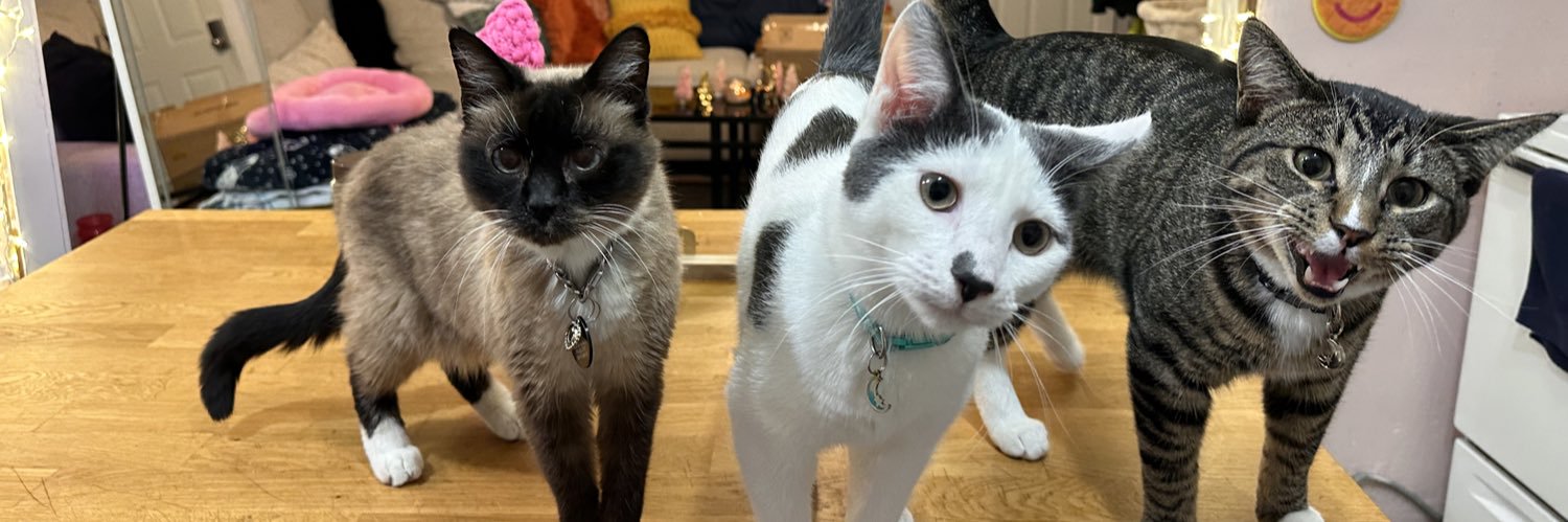 BK the lil’ Fairy 🧚‍♀️ banner