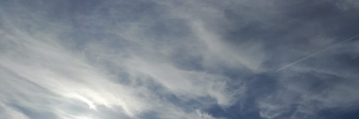 jaminiwos's profile banner image