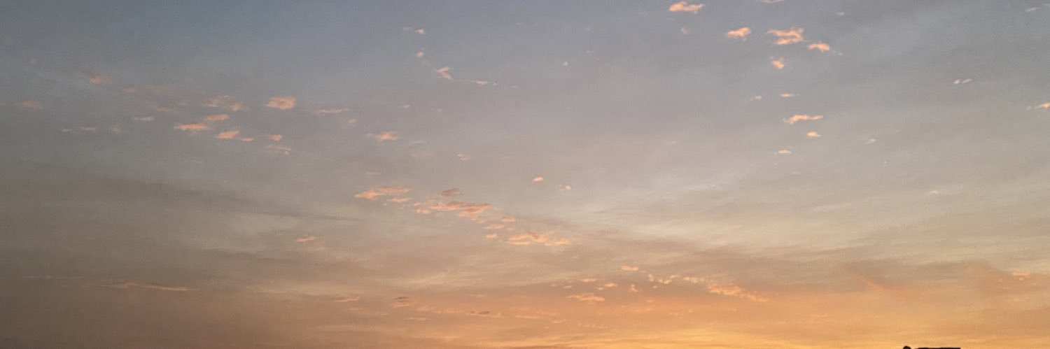 Tokaadiaa's profile banner image