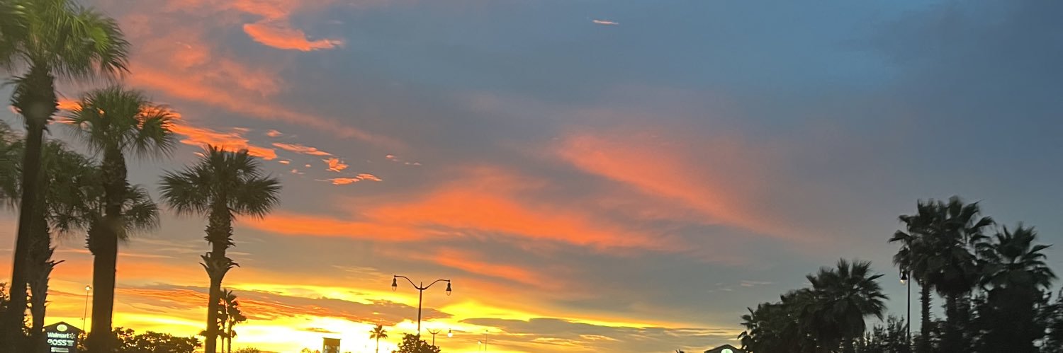 dani_zapp's profile banner image