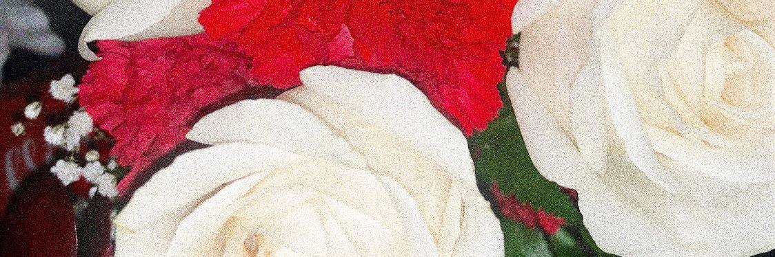 Riley Cortese banner