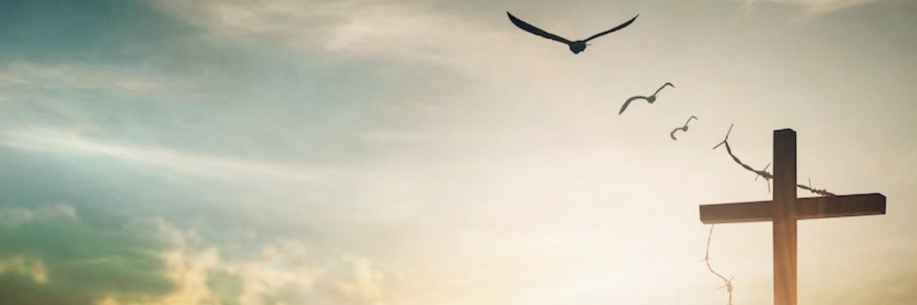 maroa168's profile banner image