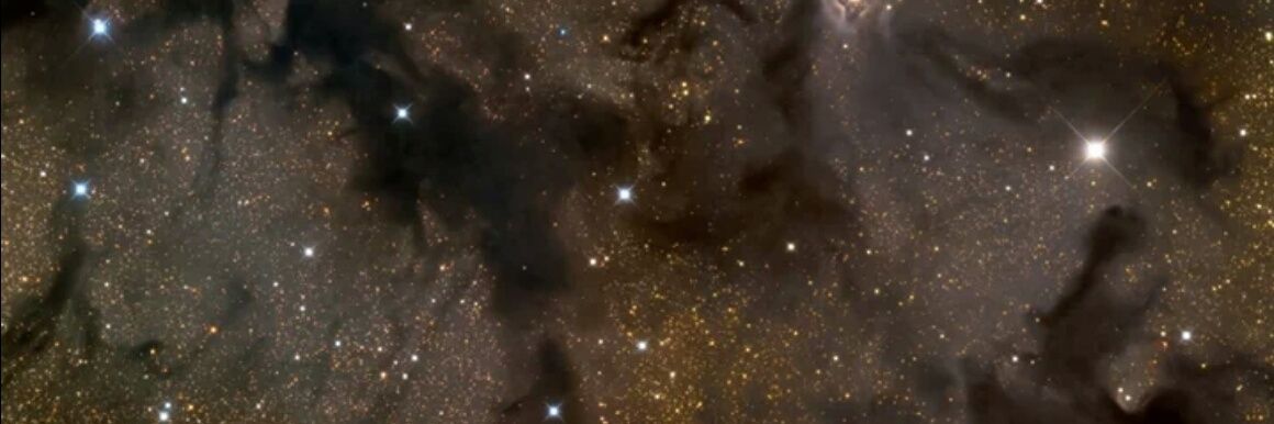 AmyMoon27's profile banner image