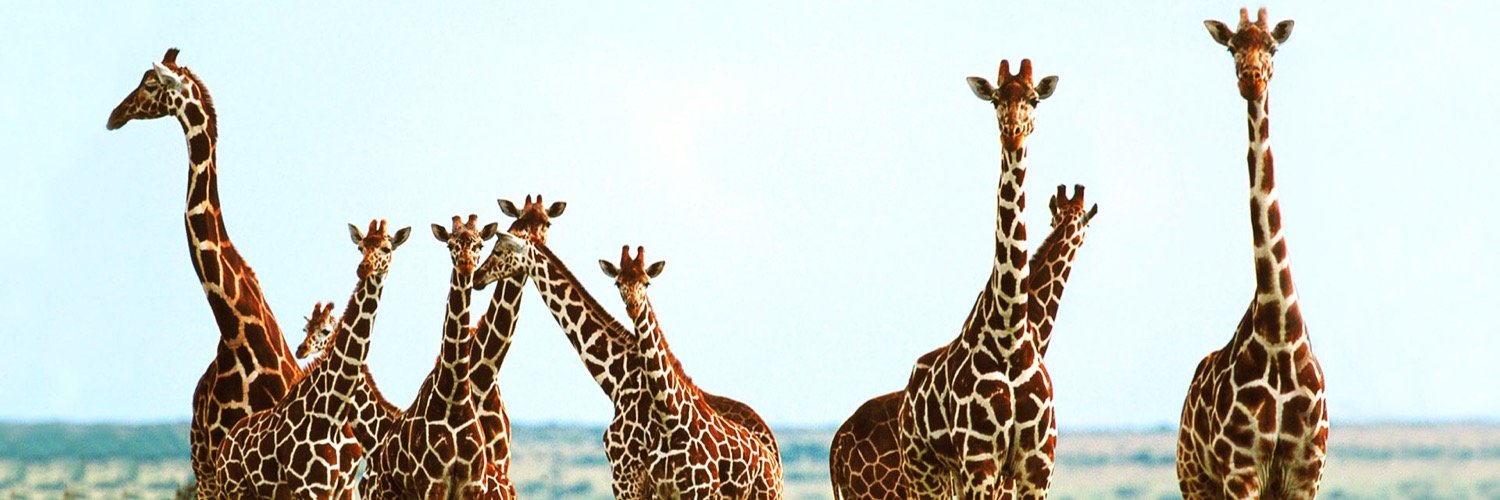 Tallgonewild's profile banner image