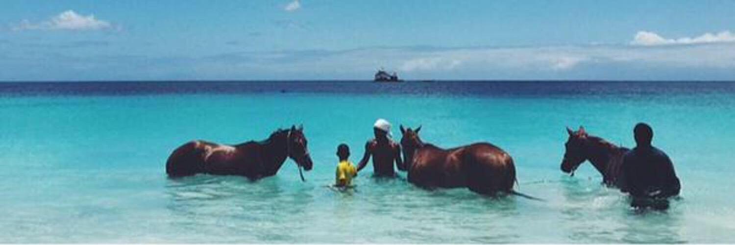 Noura657's profile banner image