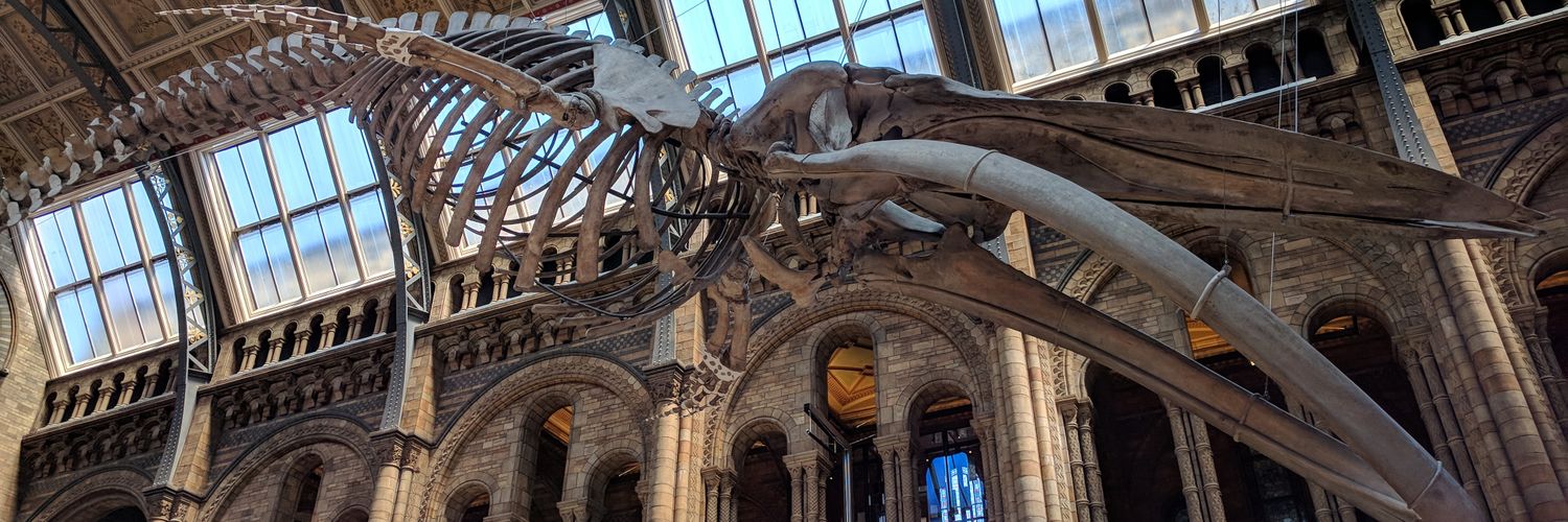 Karl Handscomb banner