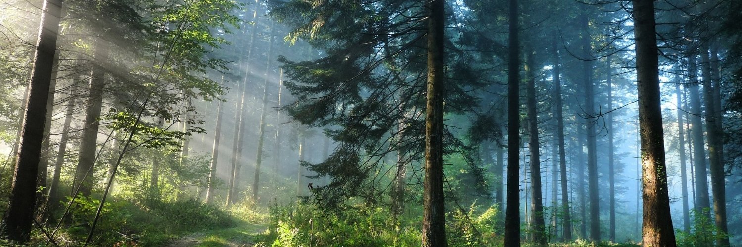 everettjlamb's profile banner image