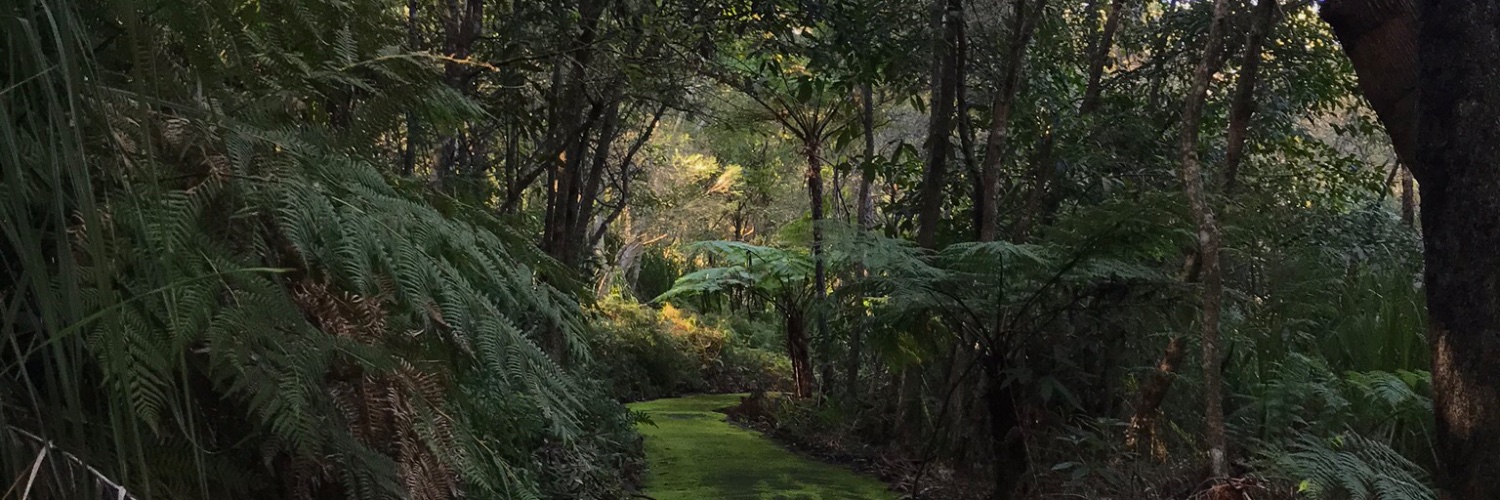 Martin Westgate banner