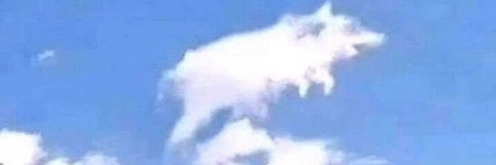 idiocamilo's profile banner image