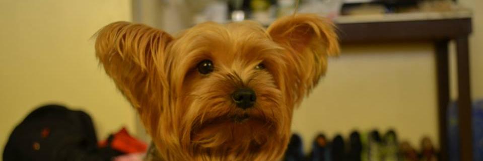 AlvinMallillin's profile banner image