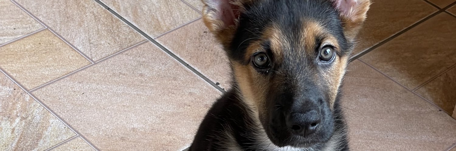 viniromano's profile banner image
