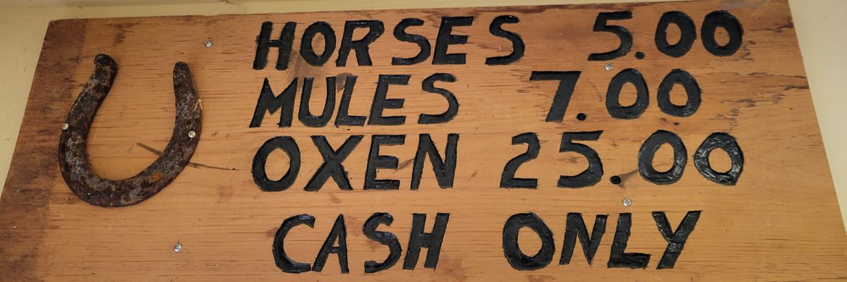 Davey. AZMX 🇨🇦🇺🇸 banner