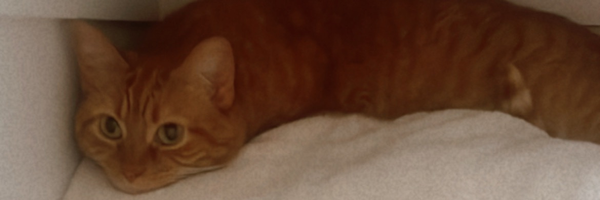 OooBurnGood1Sun's profile banner image