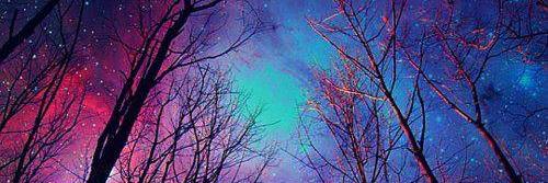 Cupcake_Pixie88's profile banner image