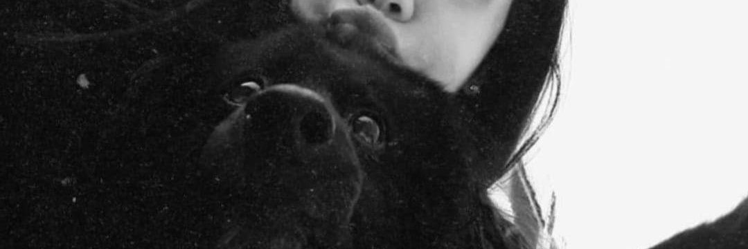 Romibe98_'s profile banner image