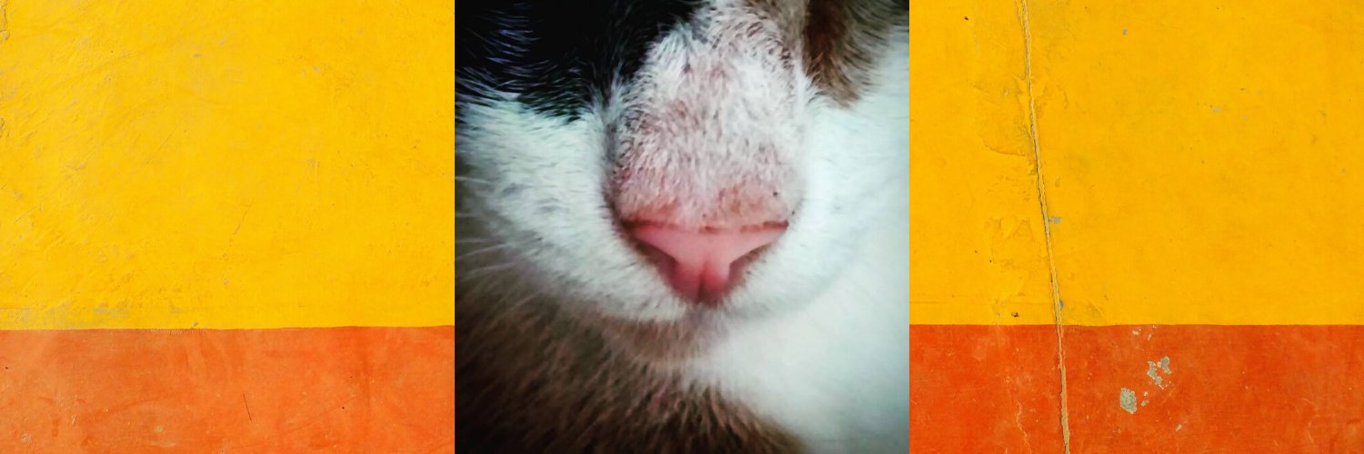 thauska's profile banner image