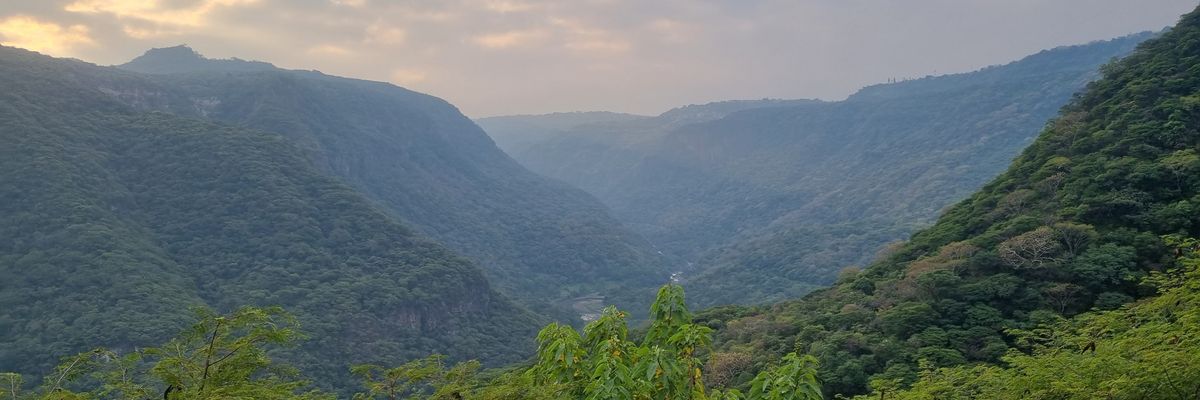 Jesus Alejandro banner