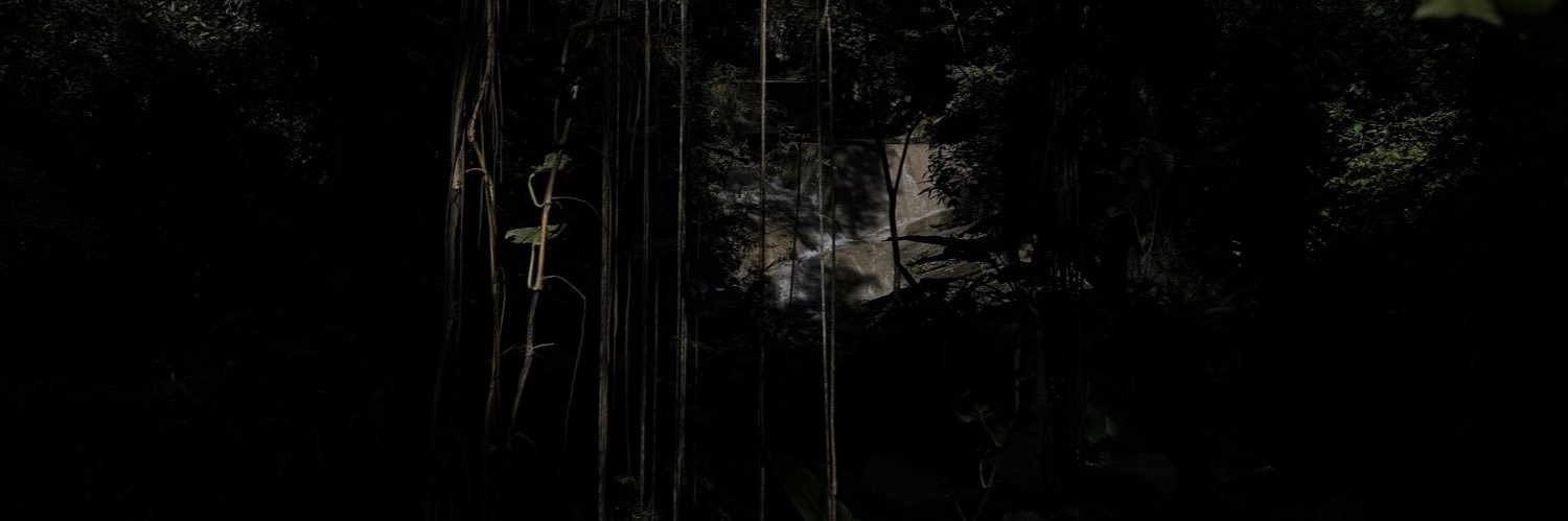 sofiarellano___'s profile banner image