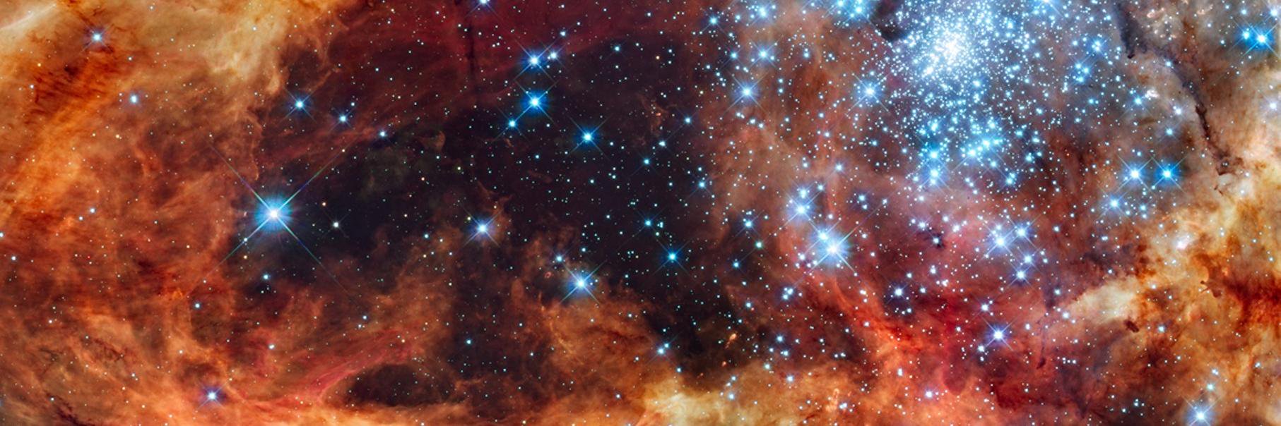BBC Science News's banner