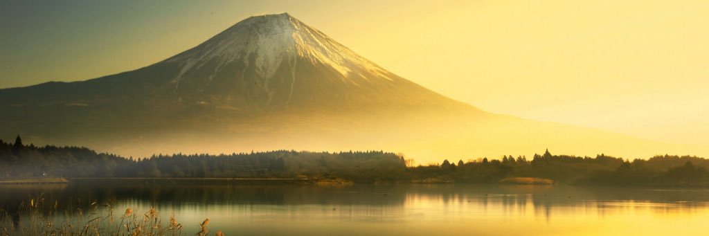 strike_hide's profile banner image