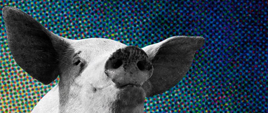 hallisonfreire's profile banner image