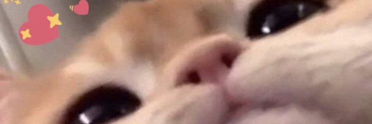 Xarshix's profile banner image