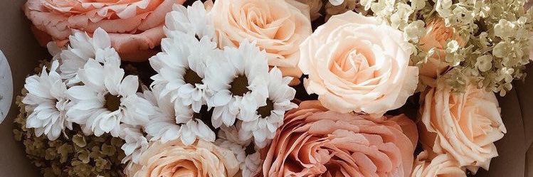 hannahamonette's profile banner image