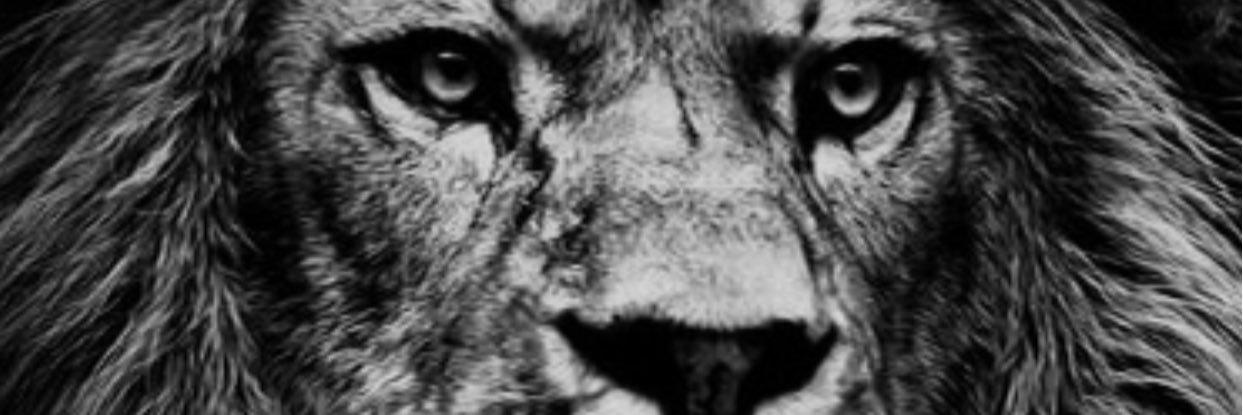 Mike_Rosas34's profile banner image