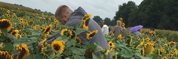 chafronk's profile banner image
