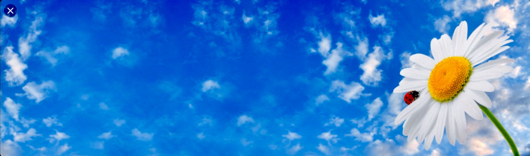 TheCleanNation's profile banner image