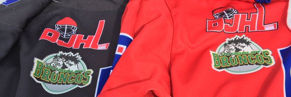 DnLL12 Profile Banner