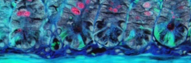jecortes_'s profile banner image