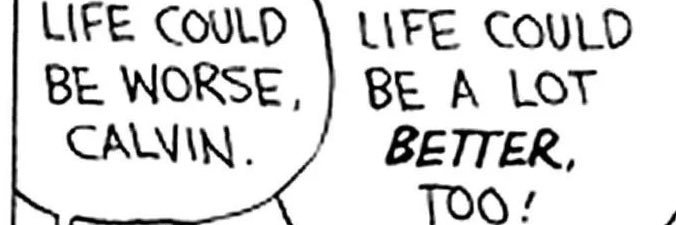 Leonardo Taccolini banner