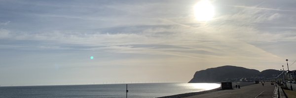 gwyn_sim Profile Banner