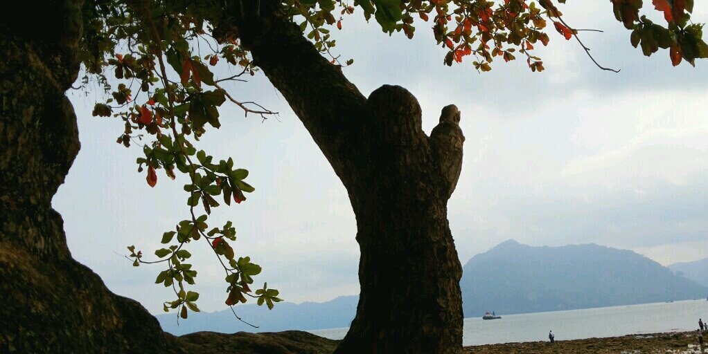 nanangsoebagyo2's profile banner image