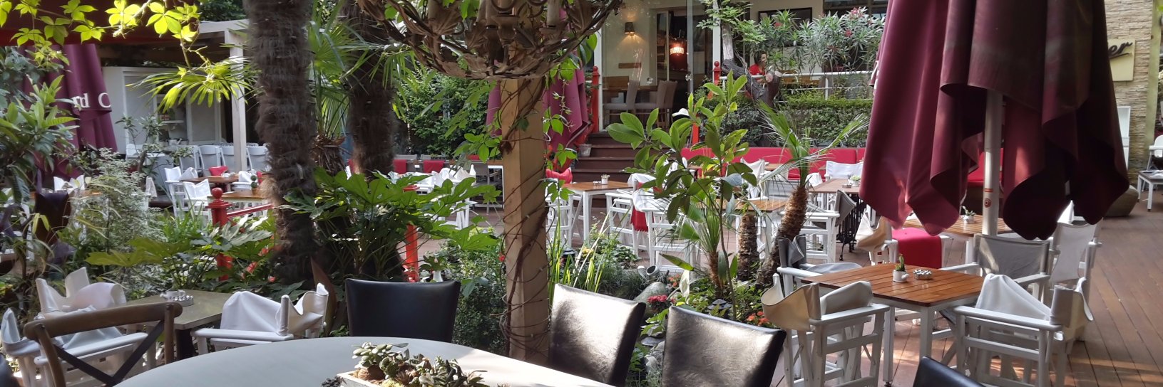 HarvardCafeRest's profile banner image