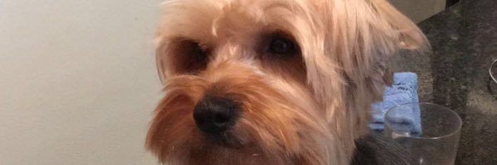 alfredoparada's profile banner image