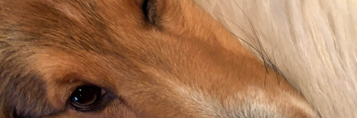 andreallamozas's profile banner image