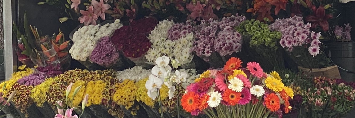 sofpalou's profile banner image