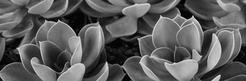 bvents08's profile banner image