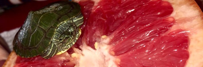 HaleyHetheringt's profile banner image